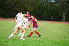 Enlarge photo 482