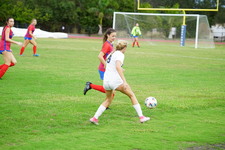 Enlarge photo 487