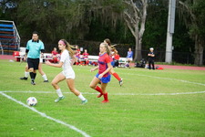 Enlarge photo 495