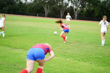 Enlarge photo 513