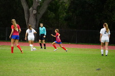 Enlarge photo 572