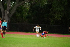 Enlarge photo 578
