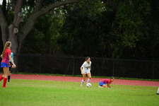 Enlarge photo 579