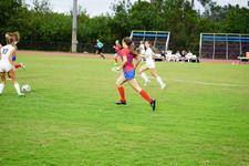 Enlarge photo 617