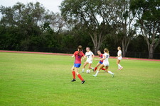 Enlarge photo 619