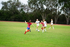 Enlarge photo 620