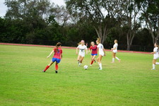 Enlarge photo 622