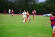 Enlarge photo 681