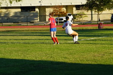 Enlarge photo 31