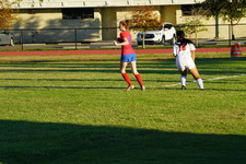 Enlarge photo 33