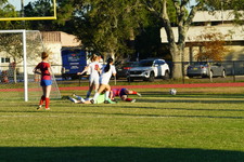 Enlarge photo 44