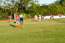 Enlarge photo 60