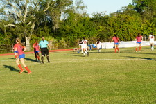 Enlarge photo 61
