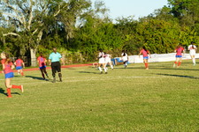 Enlarge photo 62