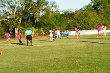 Enlarge photo 63