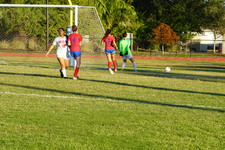 Enlarge photo 83