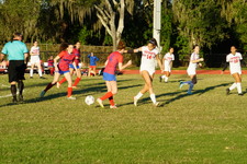 Enlarge photo 109
