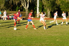 Enlarge photo 110
