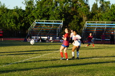 Enlarge photo 121