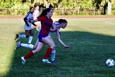 Enlarge photo 122