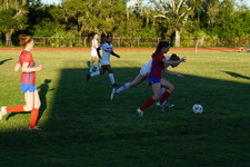 Enlarge photo 124