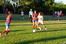 Enlarge photo 130