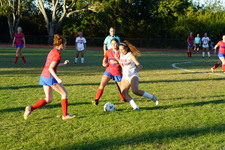 Enlarge photo 131