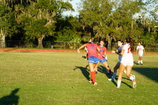 Enlarge photo 138