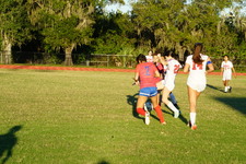 Enlarge photo 139
