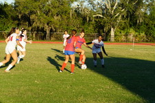 Enlarge photo 144