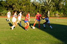 Enlarge photo 146