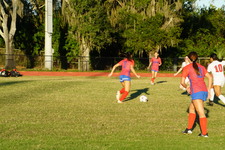 Enlarge photo 150
