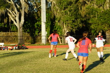 Enlarge photo 151