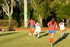 Enlarge photo 152