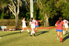 Enlarge photo 154