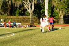 Enlarge photo 155