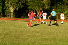 Enlarge photo 156