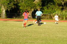 Enlarge photo 157