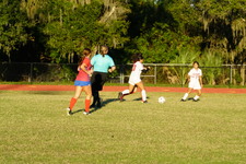 Enlarge photo 159