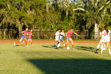 Enlarge photo 162