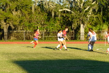 Enlarge photo 161
