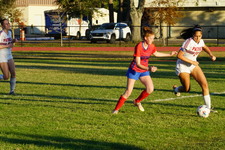 Enlarge photo 171