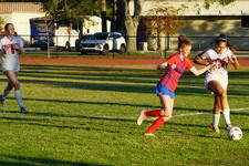 Enlarge photo 172