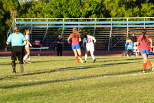 Enlarge photo 187