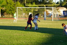 Enlarge photo 210