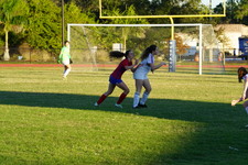 Enlarge photo 211