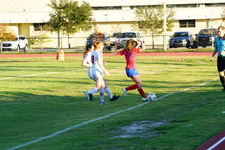 Enlarge photo 212