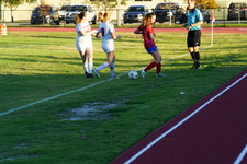 Enlarge photo 215