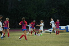 Enlarge photo 52