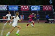 Enlarge photo 113